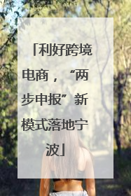 利好跨境电商，“两步申报”新模式落地宁波